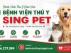 Thú Y Biên Hoà