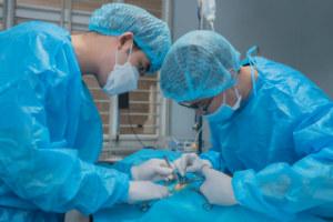 Dịch Vụ Ngoại Khoa Thú Y 