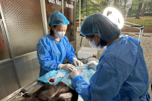 Bệnh viện thú y Đồng Nai 