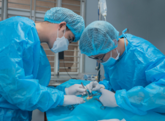 Dịch Vụ Ngoại Khoa Thú Y 