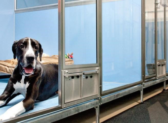 Lưu Trú Dài Hạn Cho Thú Cưng