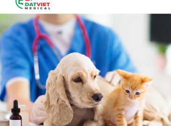 Xét Nghiệm Nội Tiết Thú Cưng