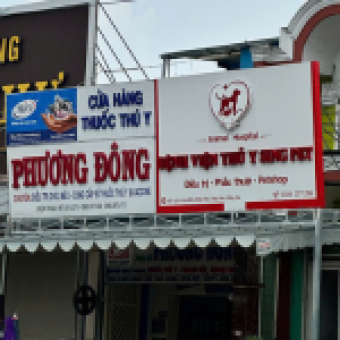 Bệnh viện thú y Biên Hòa 