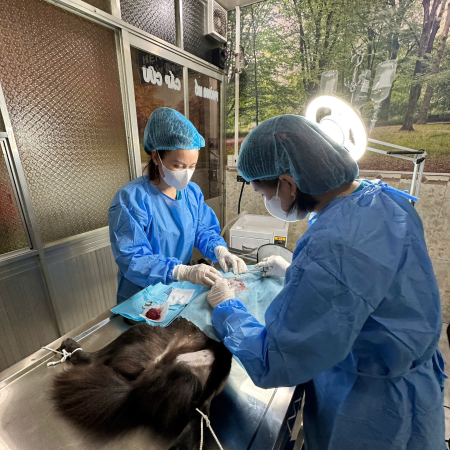 Bệnh viện thú y Đồng Nai 