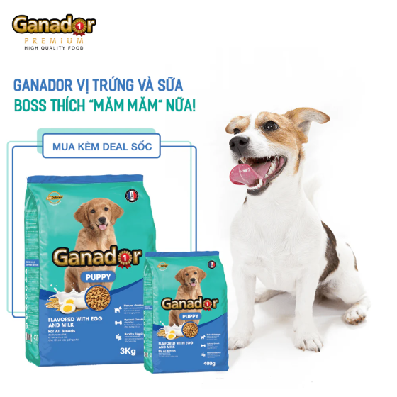 Hạt Ganador Puppy Chó Con Vị Trứng & Sữa