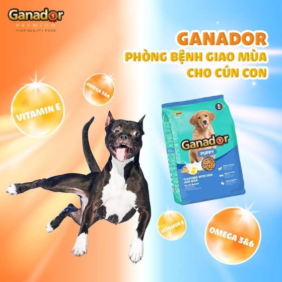 Hạt Ganador Puppy Chó Con Vị Trứng & Sữa