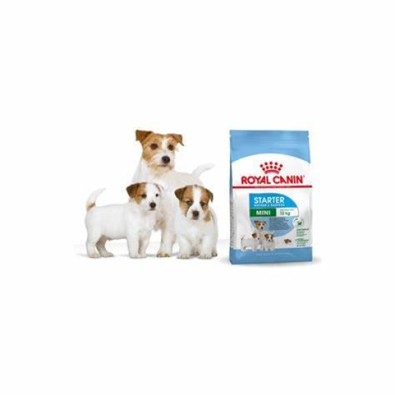 Thức Ăn Hạt Cho Chó Royal Canin Mini Starter Mother & Babydog