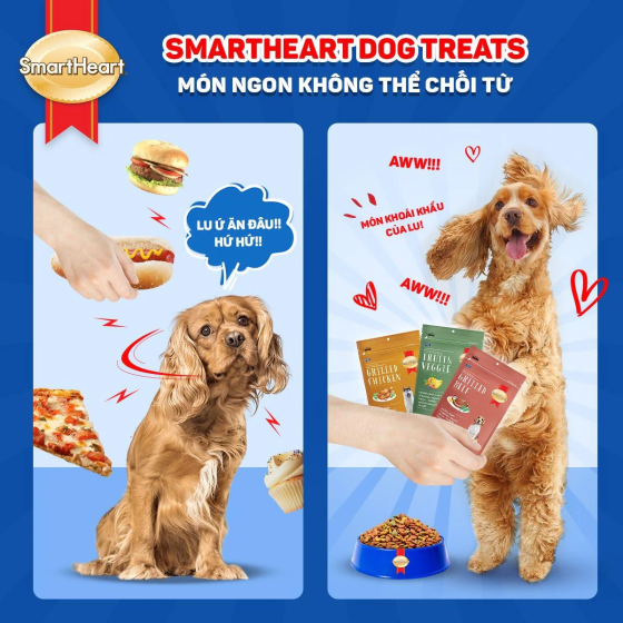 Bánh Thưởng Cho Chó Mọi Lứa Tuổi SmartHeart (100g)
