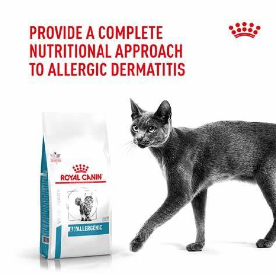 Thức Ăn Hạt Điều Trị Bệnh Cho Mèo Dị Ứng Nặng Royal Canin Anallergenic 2kg