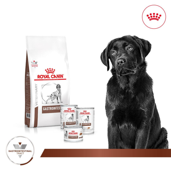 Thức Ăn Hạt Điều Trị Bệnh Cho Chó Hỗ Trợ Tiêu Hóa Royal Canin Gastrointestinal 2kg