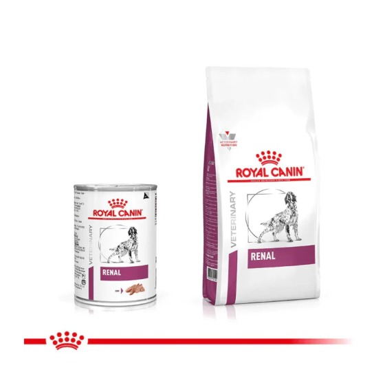 Thức Ăn Hạt Điều Trị Bệnh Cho Chó Hỗ Trợ Thận Royal Canin Renal 2kg Thức Ăn Hạt Điều Trị Bệnh Cho Chó Hỗ Trợ Thận Royal Canin Renal 2kg