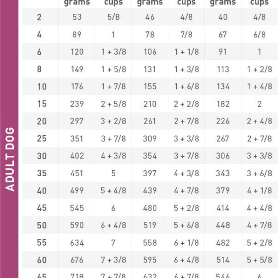 Thức Ăn Hạt Điều Trị Bệnh Cho Chó Hỗ Trợ Thận Royal Canin Renal 2kg Thức Ăn Hạt Điều Trị Bệnh Cho Chó Hỗ Trợ Thận Royal Canin Renal 2kg