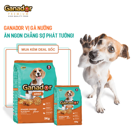 Hạt Ganador Adult Cho Chó Trưởng Thành Vị Gà Quay