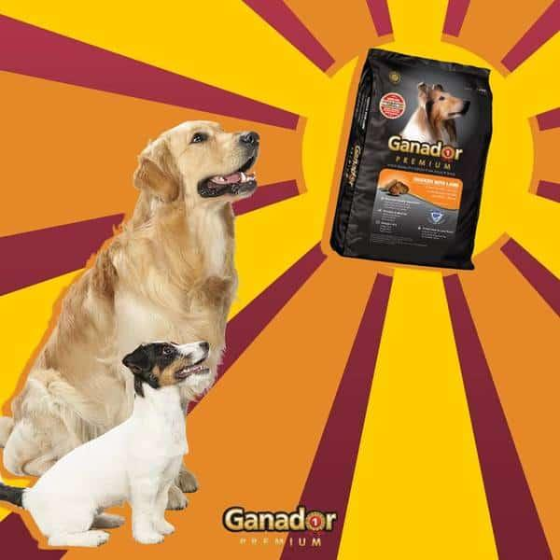 Hạt Ganador Adult Cho Chó Trưởng Thành Vị Cừu & Gạo