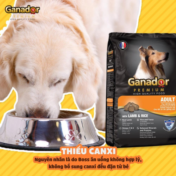 Hạt Ganador Adult Cho Chó Trưởng Thành Vị Cừu & Gạo