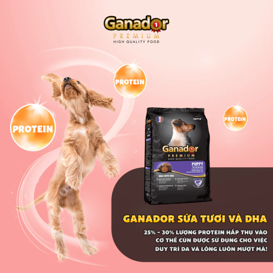 Hạt Ganador Puppy Cho Chó Con Vị Sữa & DHA