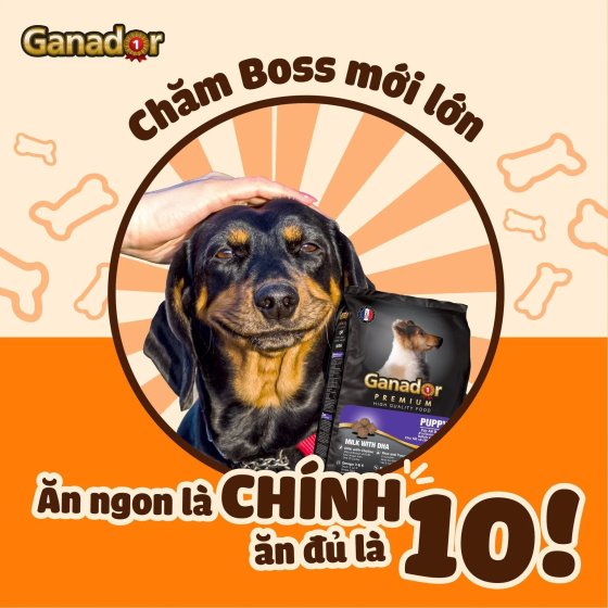 Hạt Ganador Puppy Cho Chó Con Vị Sữa & DHA