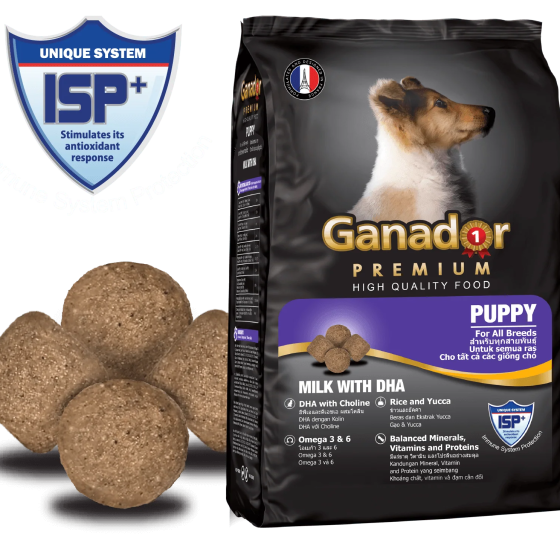 Hạt Ganador Puppy Cho Chó Con Vị Sữa & DHA