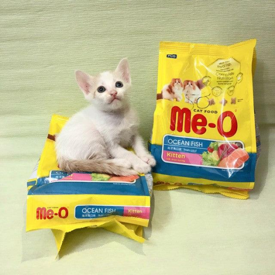 Hạt Cho Mèo Con Me-O Kitten Vị Cá Biển