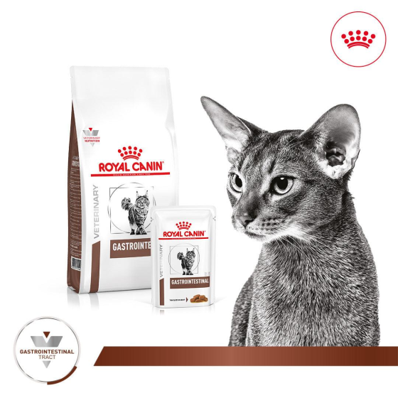 Thức Ăn Hạt Điều Trị Bệnh Cho Mèo Hỗ Trợ Tiêu Hoá Royal Canin Gastrointestinal