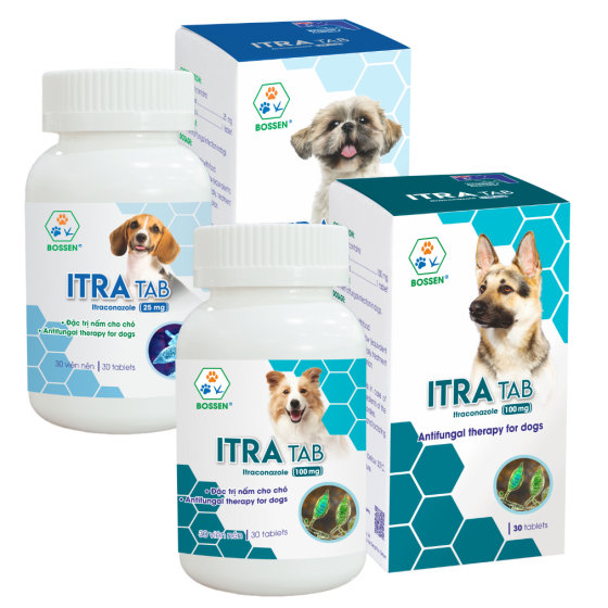 ITRA TAB (Dogs)