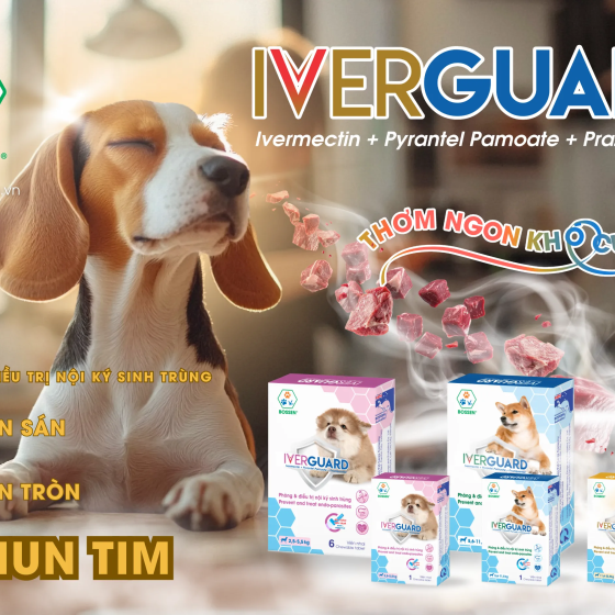 Phòng và điều trị nội ký sinh trùng