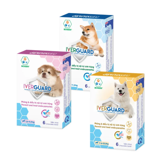 Phòng và điều trị nội ký sinh trùng