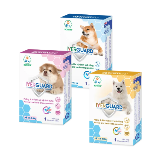 Phòng và điều trị nội ký sinh trùng