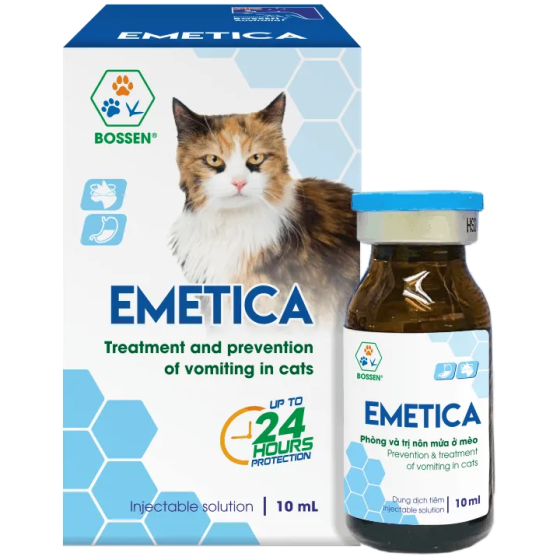 Phòng và trị nôn mửa ở mèo