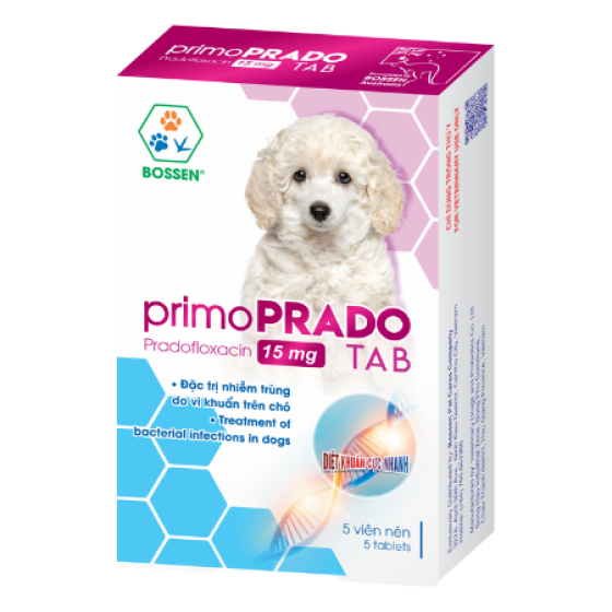 Đặc trị nhiễm trùng do vi khuẩn trên chó.