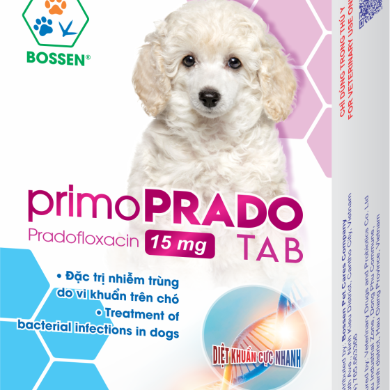 Đặc trị nhiễm trùng do vi khuẩn trên chó.