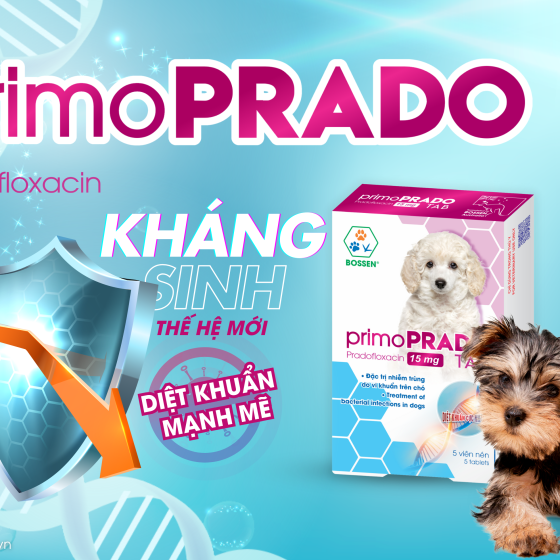 Đặc trị nhiễm trùng do vi khuẩn trên chó.