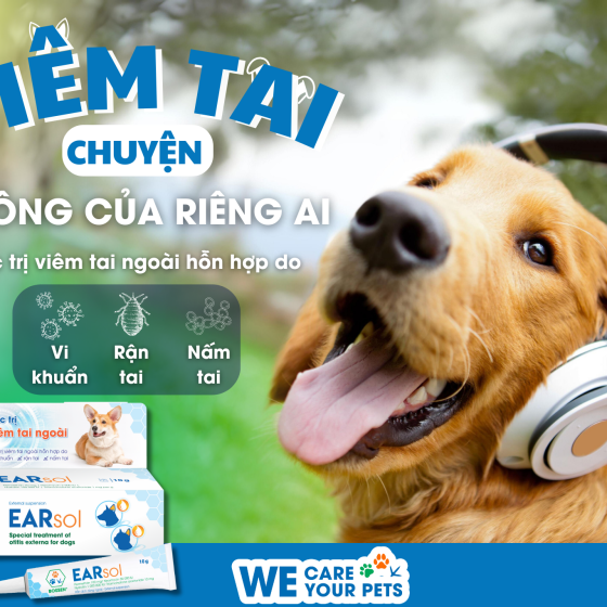 Đặc trị viêm tai