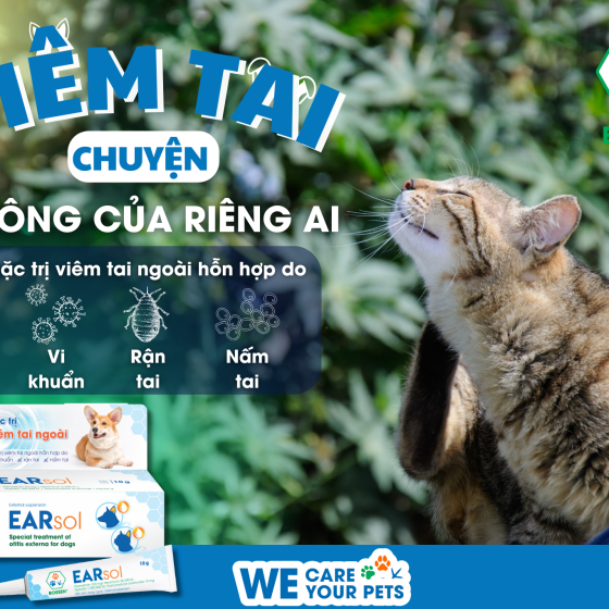 Đặc trị viêm tai