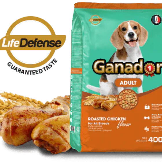 Hạt Ganador Adult Cho Chó Trưởng Thành Vị Gà Quay