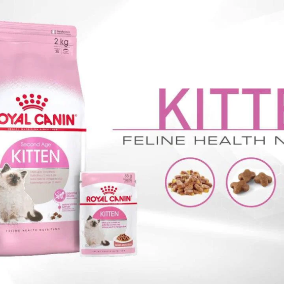 Thức Ăn Hạt Cho Mèo Con Royal Canin Kitten 36