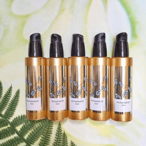 Tinh Dầu Dưỡng Lông Khử Mùi Cho Chó Mèo Show Queen 100ml