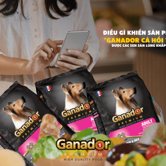 Hạt Ganador Adult Cho Chó Trưởng Thành Vị Cá Hồi & Gạo