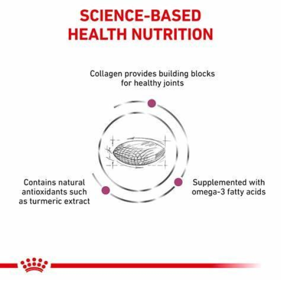 Thức Ăn Hạt Điều Trị Bệnh Cho Chó Hỗ Trợ Xương Khớp Royal Canin Mobility C2P+ 2kg