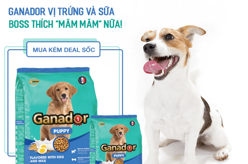 Hạt Ganador Puppy Chó Con Vị Trứng & Sữa