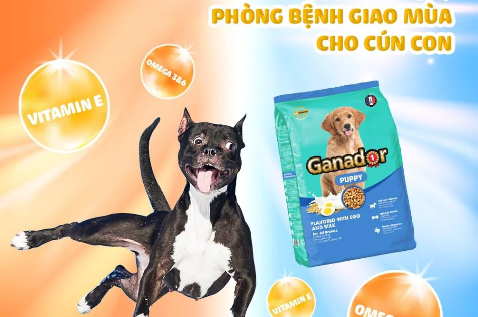 Hạt Ganador Puppy Chó Con Vị Trứng & Sữa