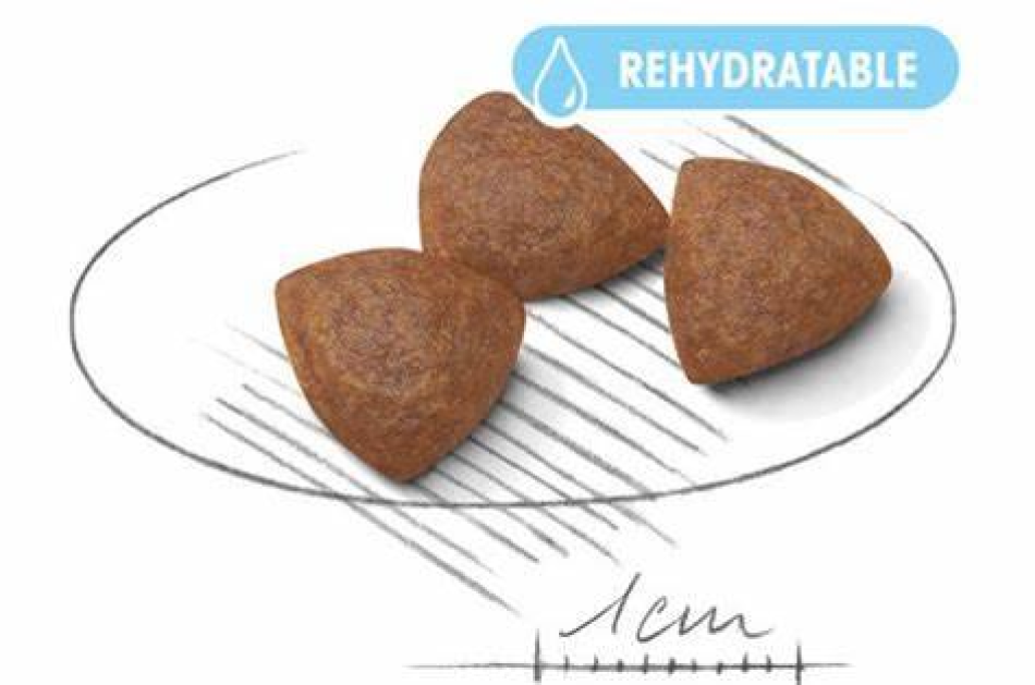 Thức Ăn Hạt Cho Chó Royal Canin Mini Starter Mother & Babydog