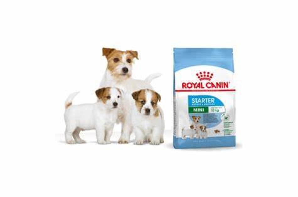 Thức Ăn Hạt Cho Chó Royal Canin Mini Starter Mother & Babydog