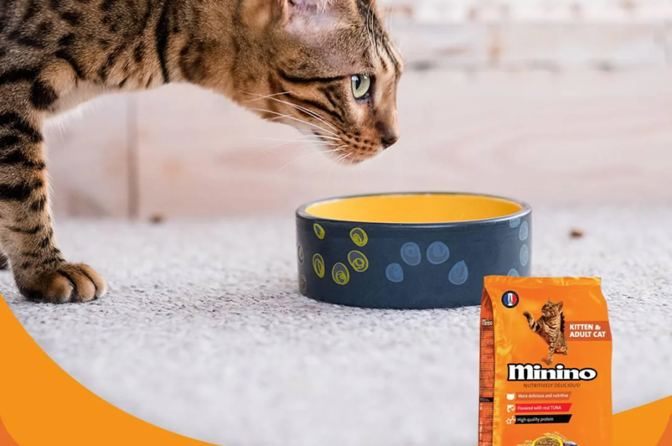 Hạt Cho Mèo Mọi Lứa Tuổi Minino Tuna Vị Cá Ngừ