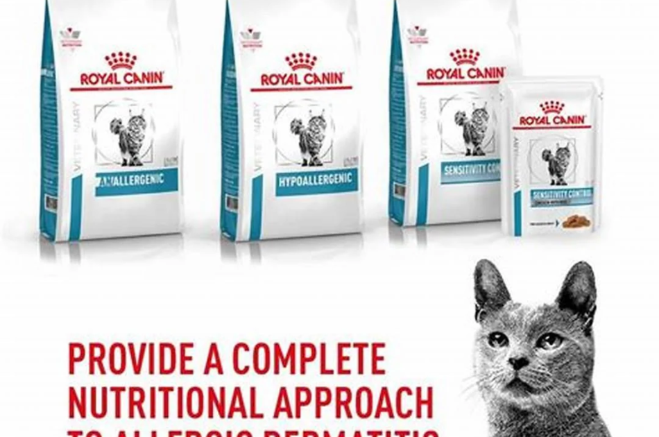 Thức Ăn Hạt Điều Trị Bệnh Cho Mèo Dị Ứng Nặng Royal Canin Anallergenic 2kg