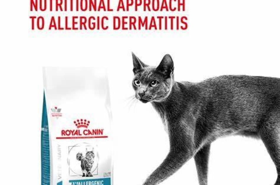 Thức Ăn Hạt Điều Trị Bệnh Cho Mèo Dị Ứng Nặng Royal Canin Anallergenic 2kg