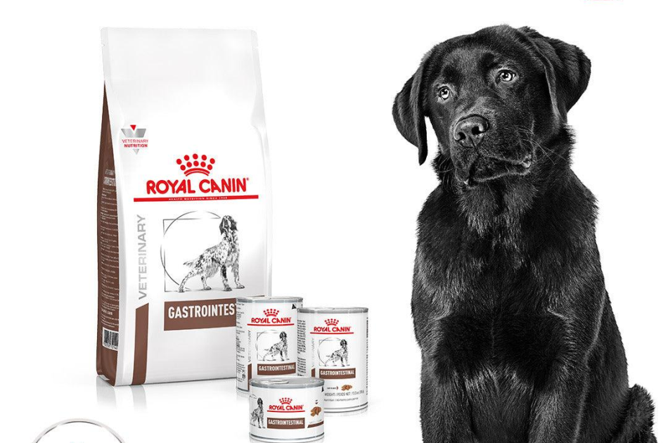 Thức Ăn Hạt Điều Trị Bệnh Cho Chó Hỗ Trợ Tiêu Hóa Royal Canin Gastrointestinal 2kg