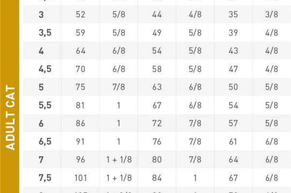 Thức Ăn Hạt Cho Mèo Sỏi Thận Royal Canin Urinary S/O