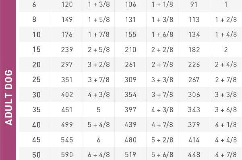 Thức Ăn Hạt Điều Trị Bệnh Cho Chó Hỗ Trợ Thận Royal Canin Renal 2kg Thức Ăn Hạt Điều Trị Bệnh Cho Chó Hỗ Trợ Thận Royal Canin Renal 2kg