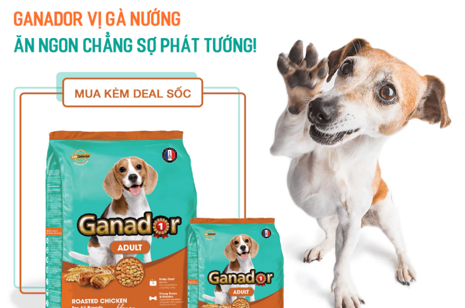 Hạt Ganador Adult Cho Chó Trưởng Thành Vị Gà Quay